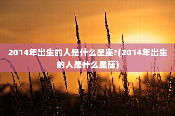 2014年出生的人是什么星座?(2014年出生的人是什么星座)