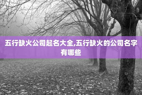 五行缺火公司起名大全,五行缺火的公司名字有哪些