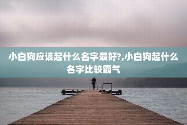 小白狗应该起什么名字最好?,小白狗起什么名字比较霸气