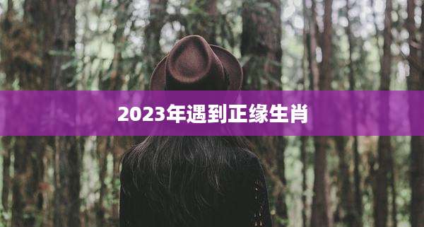 2023年遇到正缘生肖