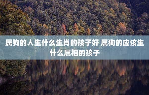 属狗的人生什么生肖的孩子好 属狗的应该生什么属相的孩子