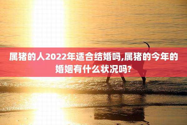 属猪的人2022年适合结婚吗,属猪的今年的婚姻有什么状况吗?