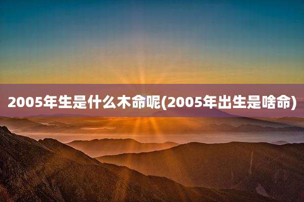 2005年生是什么木命呢(2005年出生是啥命)