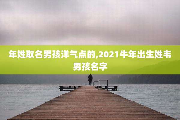 年姓取名男孩洋气点的,2021牛年出生姓韦男孩名字