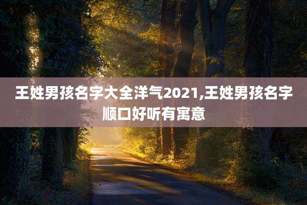 王姓男孩名字大全洋气2021,王姓男孩名字顺口好听有寓意