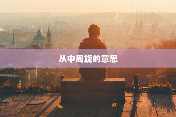 从中周旋的意思