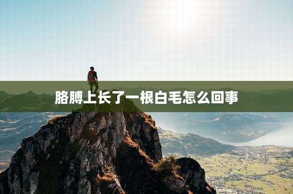 胳膊上长了一根白毛怎么回事