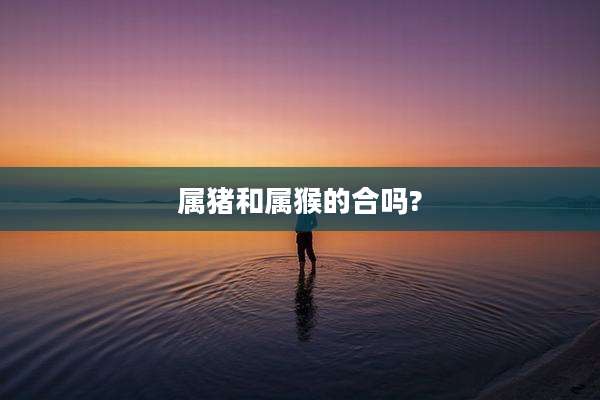 属猪和属猴的合吗?