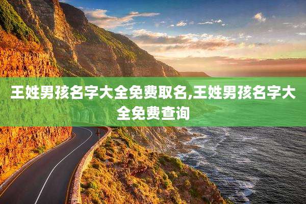 王姓男孩名字大全免费取名,王姓男孩名字大全免费查询