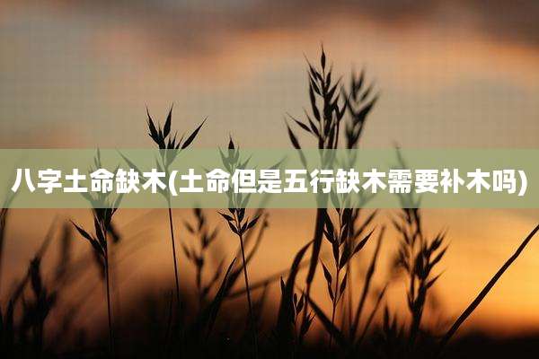 八字土命缺木(土命但是五行缺木需要补木吗)