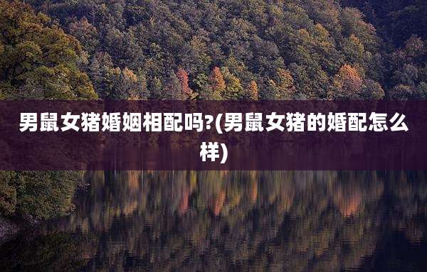 男鼠女猪婚姻相配吗?(男鼠女猪的婚配怎么样)