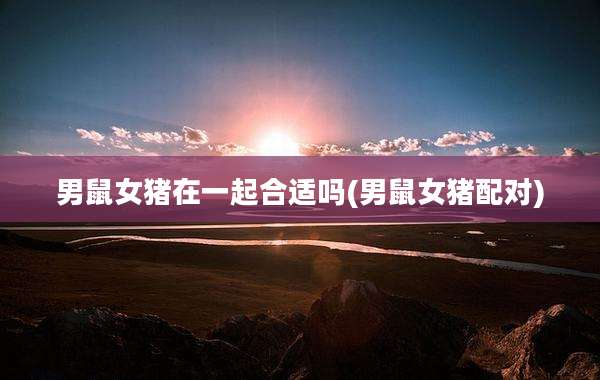 男鼠女猪在一起合适吗(男鼠女猪配对)