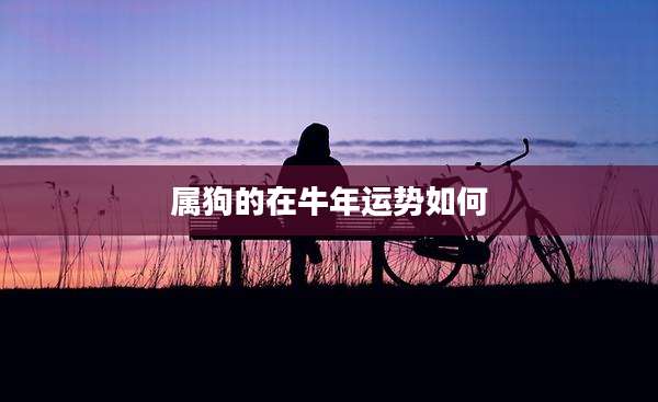 属狗的在牛年运势如何