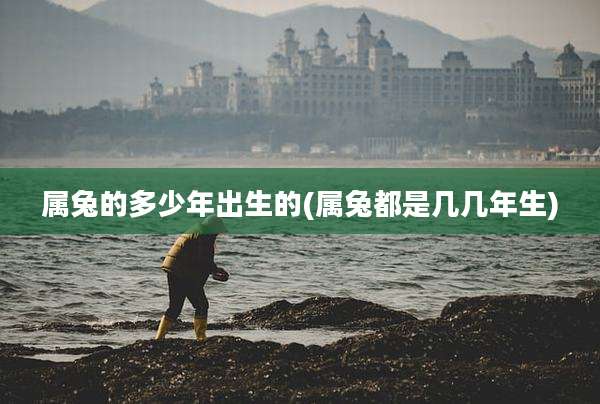 属兔的多少年出生的(属兔都是几几年生)