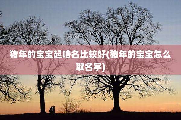 猪年的宝宝起啥名比较好(猪年的宝宝怎么取名字)