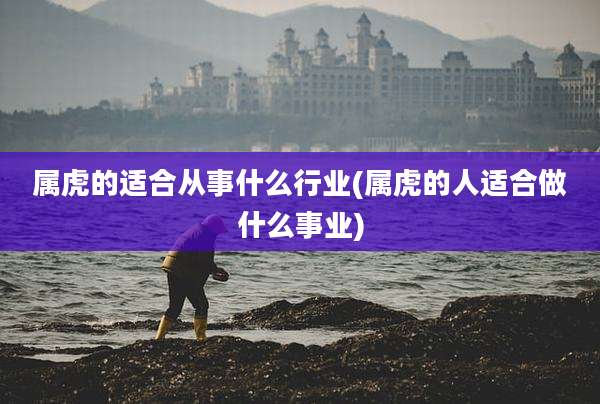 属虎的适合从事什么行业(属虎的人适合做什么事业)