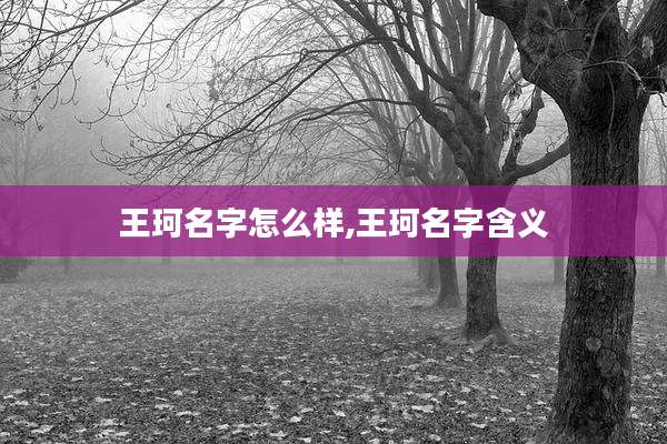 王珂名字怎么样,王珂名字含义