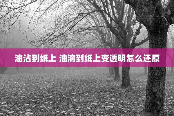 油沾到纸上 油滴到纸上变透明怎么还原