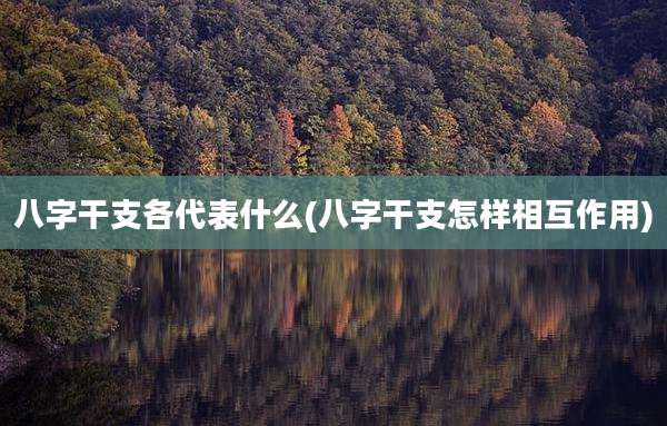 八字干支各代表什么(八字干支怎样相互作用)