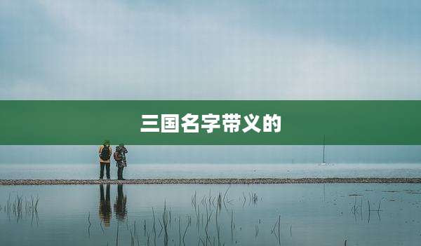 三国名字带义的