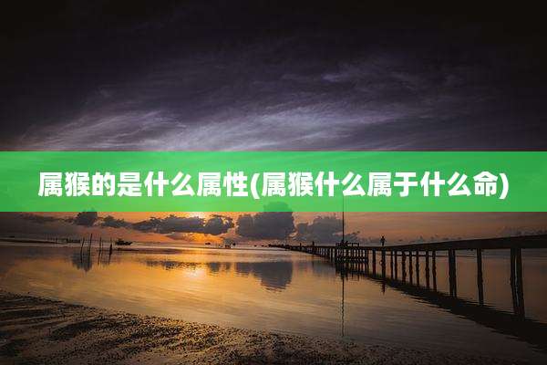 属猴的是什么属性(属猴什么属于什么命)