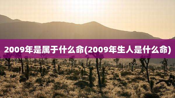 2009年是属于什么命(2009年生人是什么命)