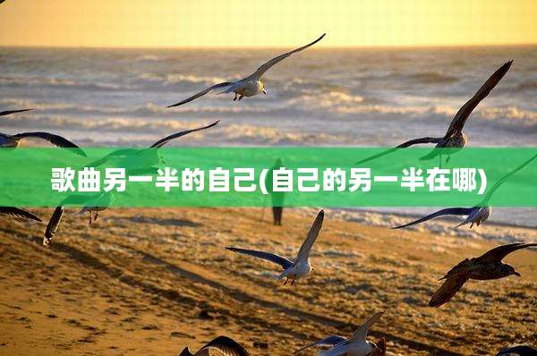 歌曲另一半的自己(自己的另一半在哪)
