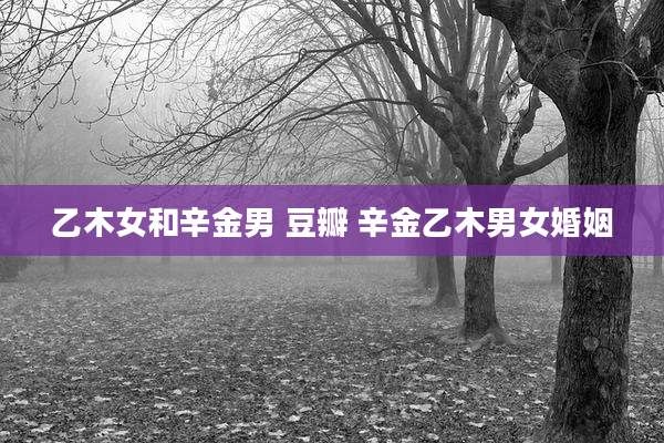 乙木女和辛金男 豆瓣 辛金乙木男女婚姻