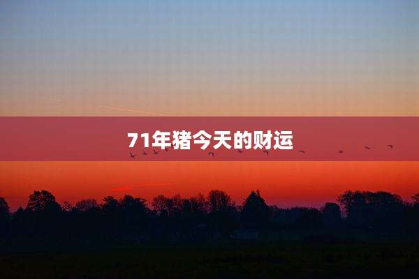 71年猪今天的财运