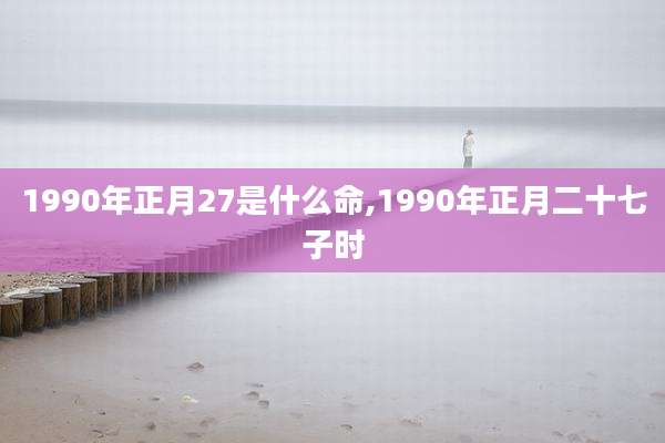 1990年正月27是什么命,1990年正月二十七子时