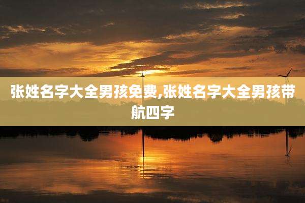 张姓名字大全男孩免费,张姓名字大全男孩带航四字
