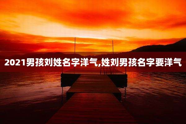2021男孩刘姓名字洋气,姓刘男孩名字要洋气