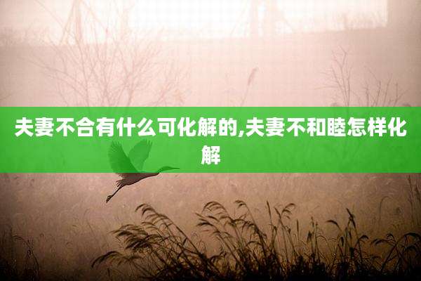 夫妻不合有什么可化解的,夫妻不和睦怎样化解