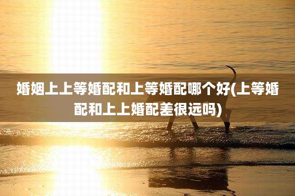 婚姻上上等婚配和上等婚配哪个好(上等婚配和上上婚配差很远吗)