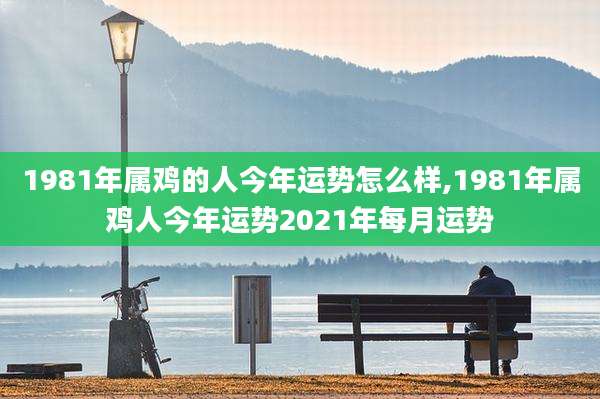 1981年属鸡的人今年运势怎么样,1981年属鸡人今年运势2021年每月运势