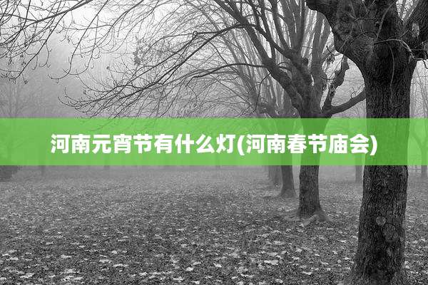 河南元宵节有什么灯(河南春节庙会)