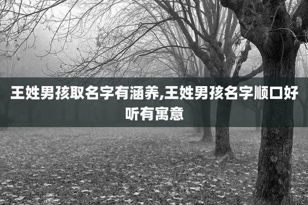 王姓男孩取名字有涵养,王姓男孩名字顺口好听有寓意