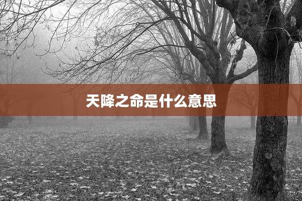 天降之命是什么意思