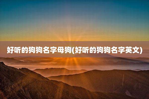 好听的狗狗名字母狗(好听的狗狗名字英文)