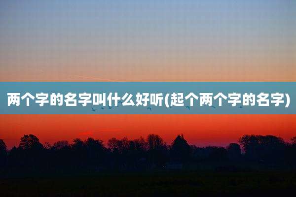 两个字的名字叫什么好听(起个两个字的名字)
