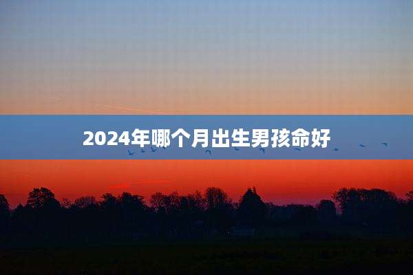 2024年哪个月出生男孩命好