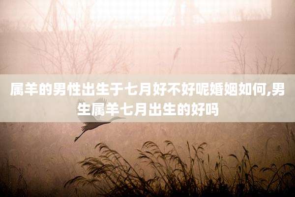 属羊的男性出生于七月好不好呢婚姻如何,男生属羊七月出生的好吗