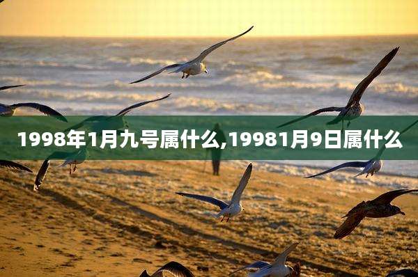 1998年1月九号属什么,19981月9日属什么