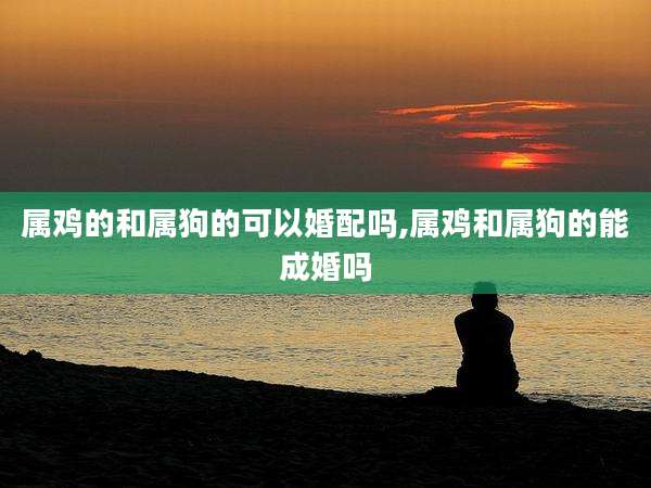 属鸡的和属狗的可以婚配吗,属鸡和属狗的能成婚吗