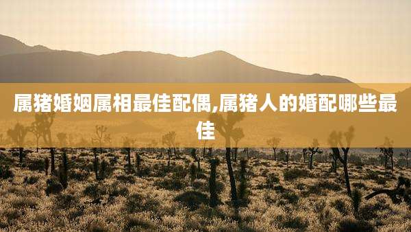 属猪婚姻属相最佳配偶,属猪人的婚配哪些最佳