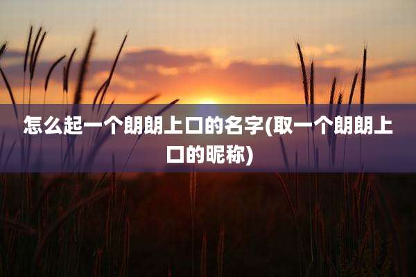 怎么起一个朗朗上口的名字(取一个朗朗上口的昵称)