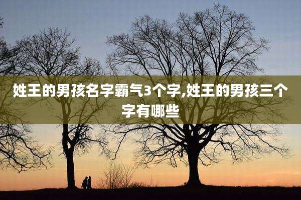 姓王的男孩名字霸气3个字,姓王的男孩三个字有哪些