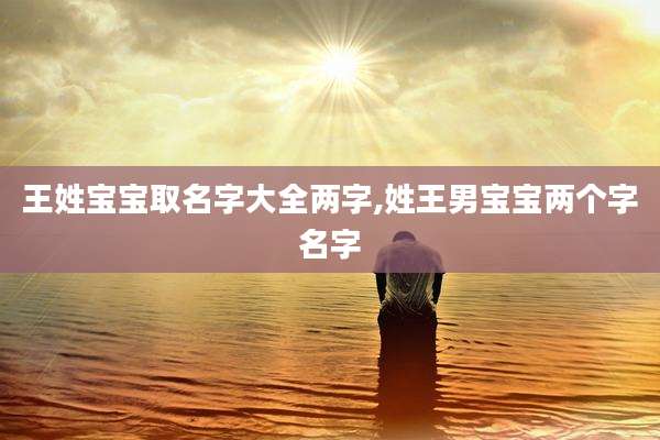 王姓宝宝取名字大全两字,姓王男宝宝两个字名字
