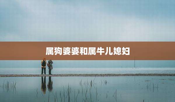 属狗婆婆和属牛儿媳妇