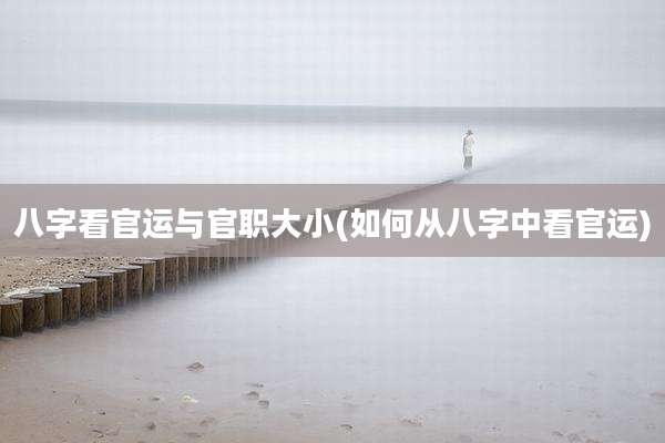 八字看官运与官职大小(如何从八字中看官运)